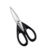 strong shears