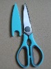 kitchen scissors