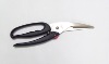poultry scissors