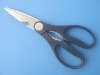 kitchen scissors