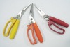 kitchen shears