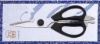 kitchen shears