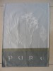 Wholesale Jacquard tea towel