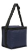 Wholesale Cooler bag