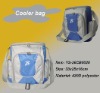Wholesale wine cooler bag set