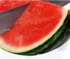 Stainless Steel watermelon knife GH-86