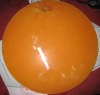 multi-purpose & hygienic cheese board
