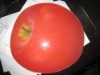 Wholesale multi-purpose kitchen cutting board chopping board kitchen glass cutting board