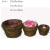 Wholesale 3 asst Moss planter