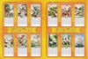 bamboo products bamboo paper bamboo calendar