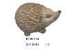 Wholesale Hedgehog