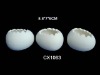 Wholesale ceramic bisque egg for decoration-bisque potteryware