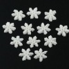 Wholesale polymer clay