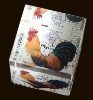 transparent paperweight
