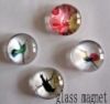 Wholesale Magnet hook Magnet snap Fridge magnet