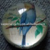 Wholesale Bird Design Paperweight Home Deco