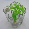 Wholesale Colorful glass vase
