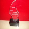 Wholesale Acrylic Award Trophy(as a prize)