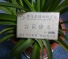 Wholesale hot sell brass business card