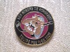 Pin badge