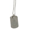 Fashion Metal dog tags