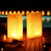 Wholesale luminaria candle bag