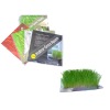 Wholesale promotion gift (Indoor Grass Square)