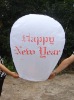 Wholesale 2011 New Wedding Chinese sky lantern