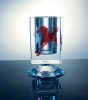Laser Crystal Pen Container
