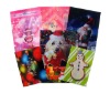 Wholesale 3D lenticular card