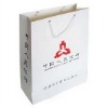 Wholesale 2010 paper bag