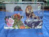 Wholesale Nice crystal gift crystal color printing