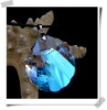 Wholesale fashion crystal seashell