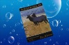 Wholesale OEM color card printing