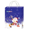Wholesale christmas gift bag(2011 for christmas)