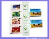 Wholesale play cards for bank promotion