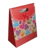 Wholesale gift bag(2011)