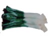 Wholesale fridge magnet
