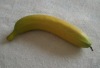 Wholesale artificial banaba
