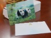 Wholesale 3D Lenticular PVC Card