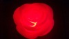 Wholesale led rose shape light