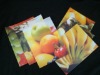 Wholesale PP cup coster