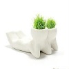 grow grass head couple toy/grass promotion gift/growing grass head toy