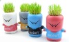 Wholesale DIY grass toy,happy boy
