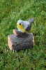 resin sensor bird