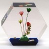 Wholesale Dry flower Lucite embedment paperweight