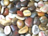 Wholesale Basalt massage stone DM19