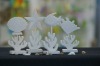 Wholesale Sea decoration