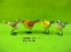 bird products