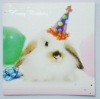 Wholesale Promtoional card(GY-HK076)
